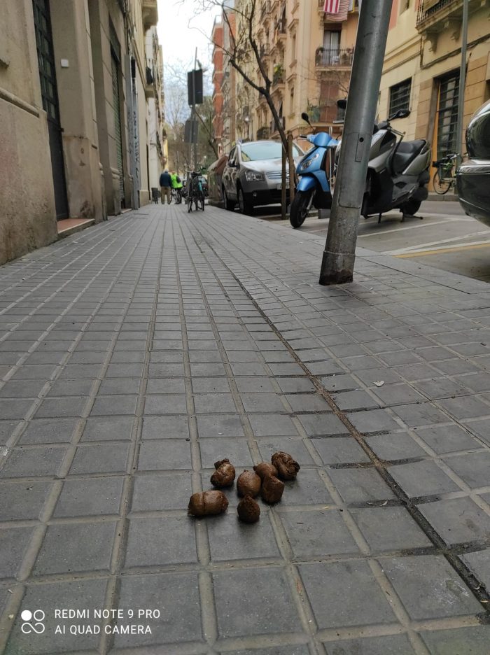 cacas de perro en poble sec foto denuncia Barcelona noticias