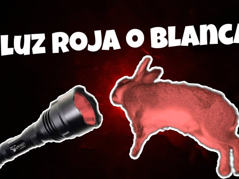 La nueva distracción
