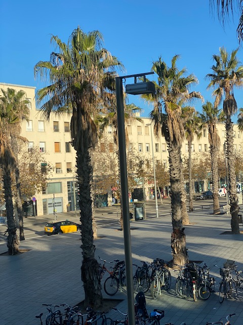 previ-meteo-26-enero-2024-barcelona-noticias